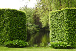 tuinen Kasteel Warmelo
